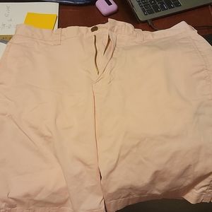Men's J. Crew stretch 30x9 shorts